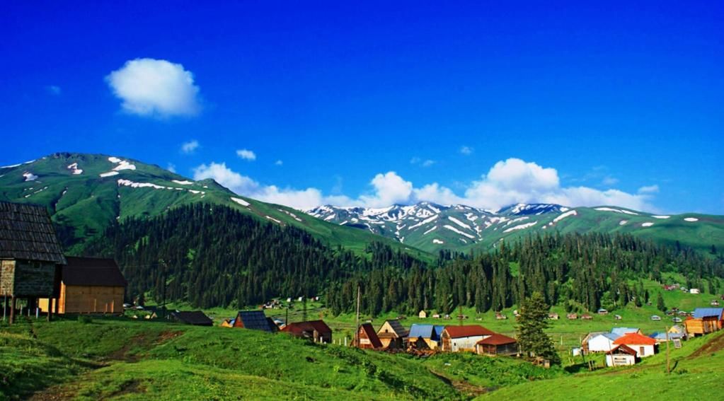 Проживание в семье Old Bakhmaro Chʼokhatauri